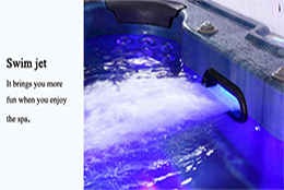Angus Outdoor Large Size Commercial Hot Tub SPA Pool122